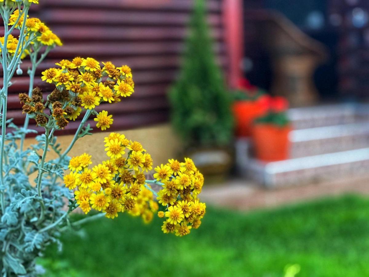 Holiday Home Di More Jagodina Buitenkant foto
