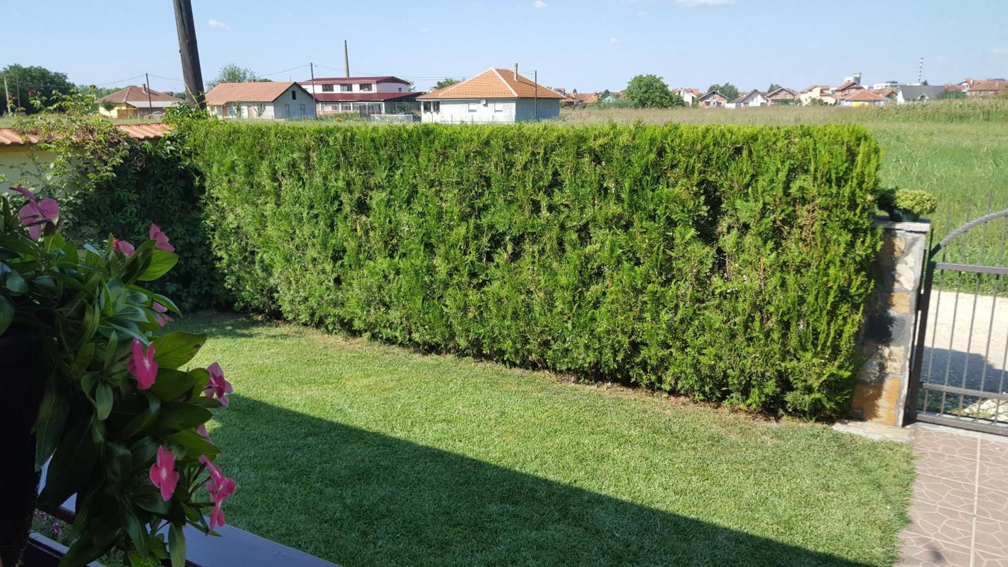 Holiday Home Di More Jagodina Buitenkant foto